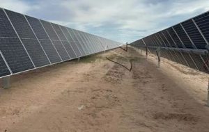 Figure 2: Rows of single-axis trackers laid out on sandy ground; shot from between two rows, the continuous torque tube, braced posts and module tilt are visible. The rotational degree of freedom of this structure is both the source of power generation and the source of aerodynamic instability.